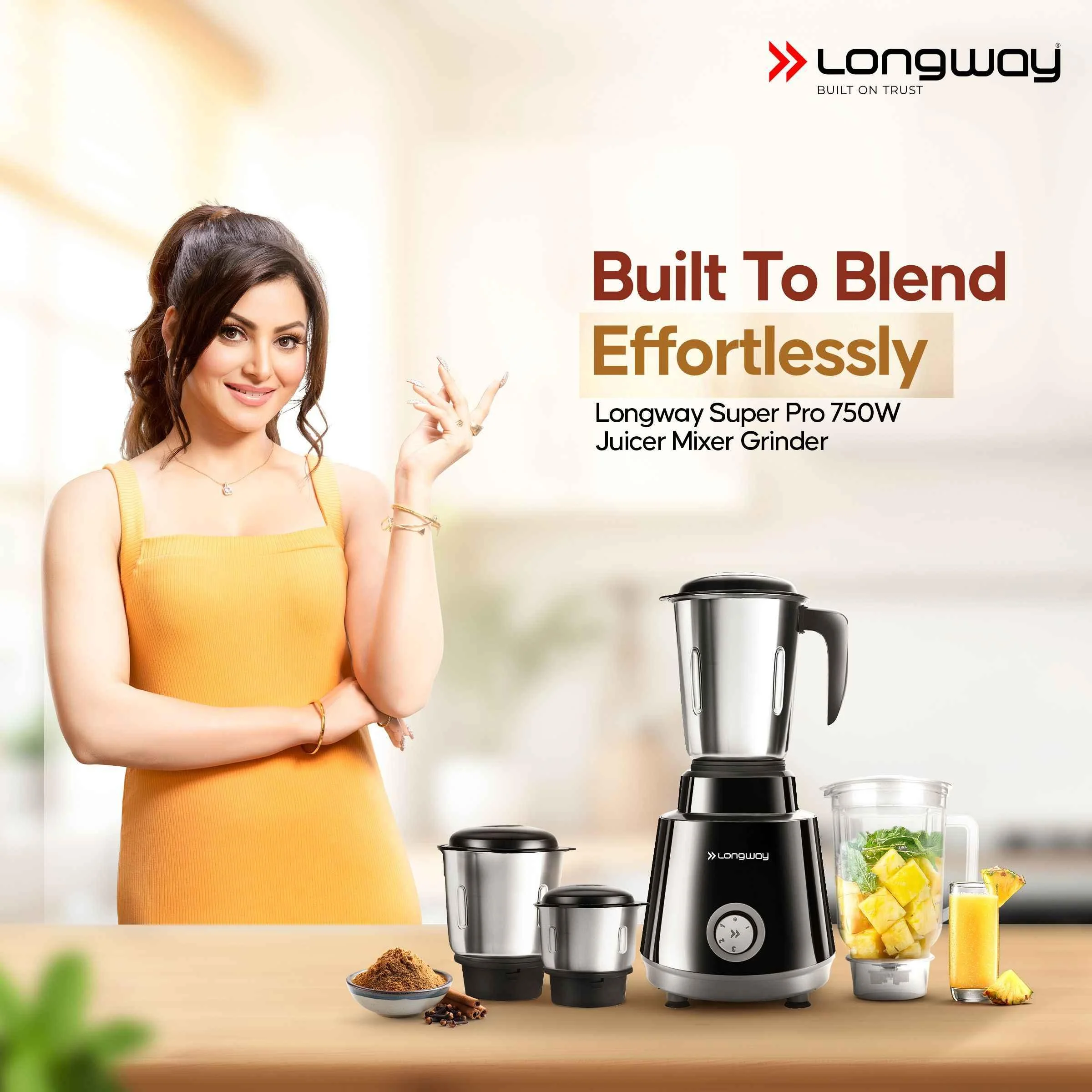 Longway Mixer Grinder - Image 2