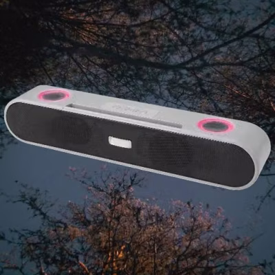 Portable Bluetooth Speaker